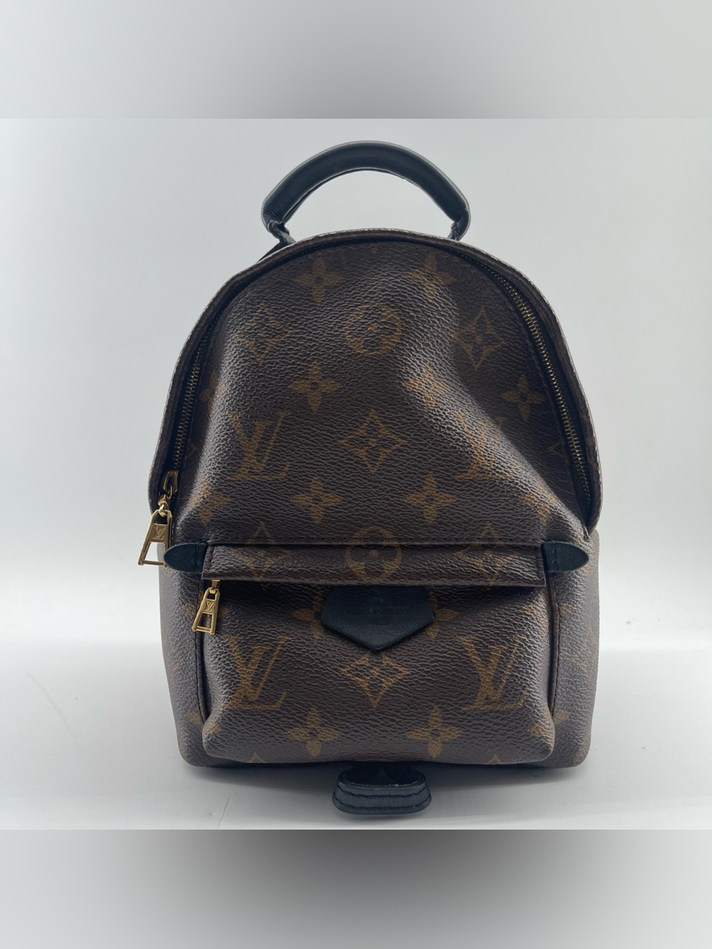 Louis Vuitton Monogram Palm Springs Backpack